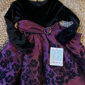 NWT Toddler Holiday Velvet Dress